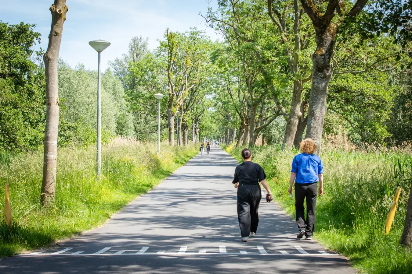 Groene wandelroute bij Nest Werkplekken in Amstelveen waar ondernemers tijdens de werkdag even naar buiten kunnen